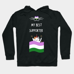 Genderqueer flag Hoodie